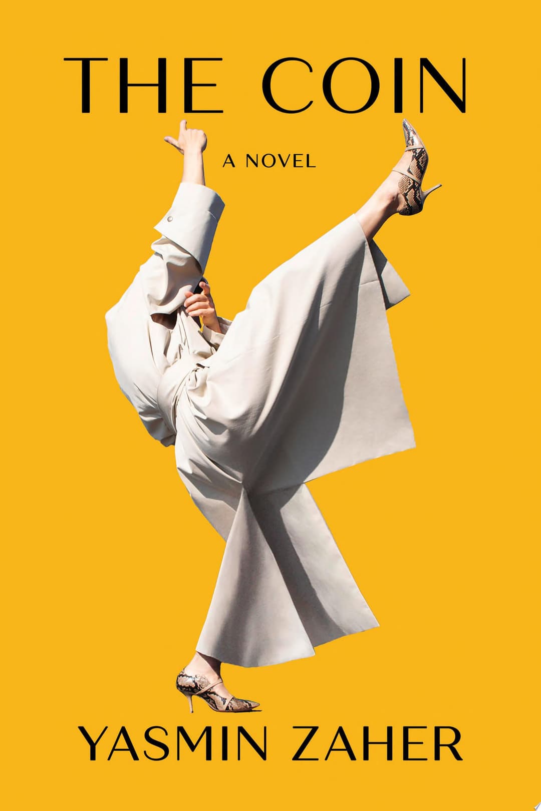 Couverture de The Coin A Novel