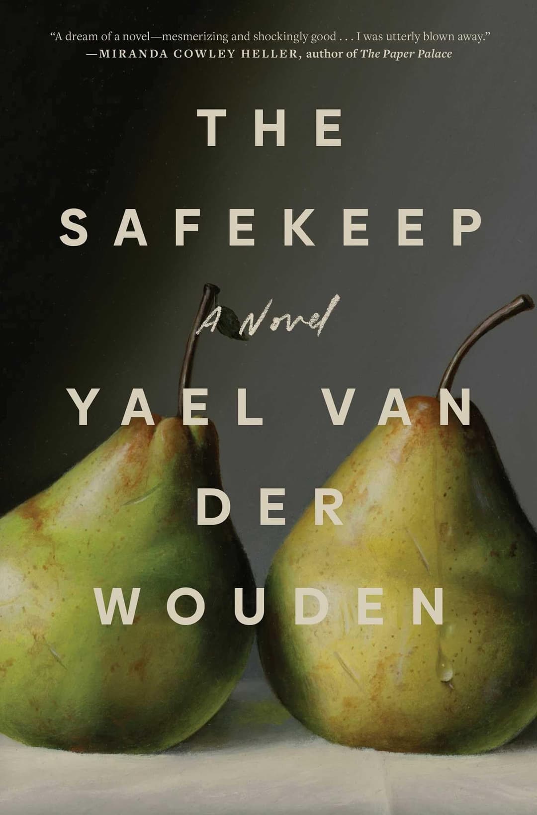 Couverture de The Safekeep