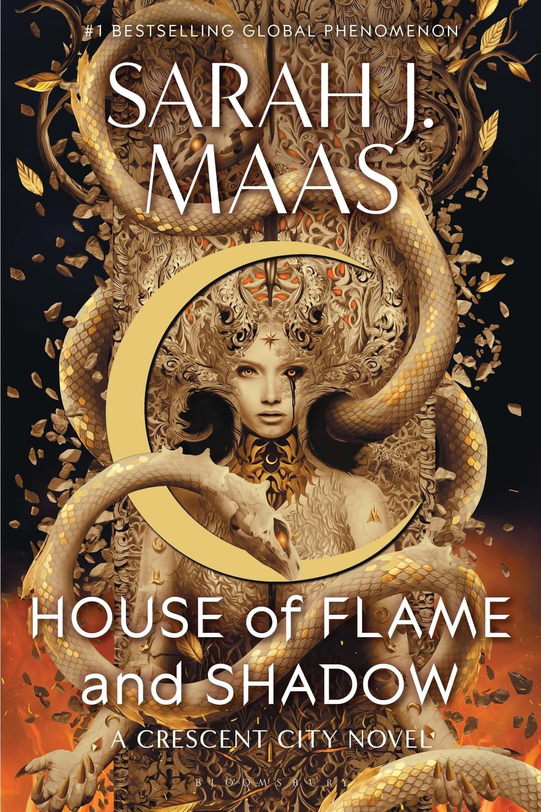 Couverture de House of Flame and Shadow