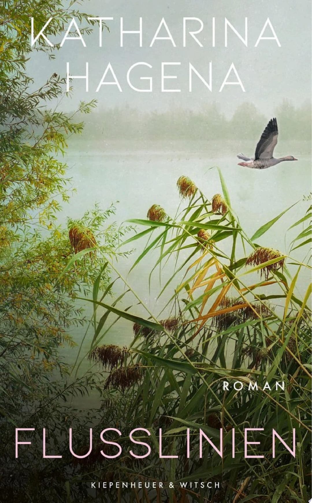 Couverture de Flusslinien Roman
