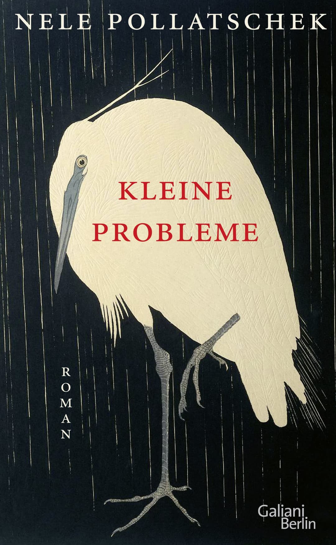 Couverture de Kleine Probleme Roman