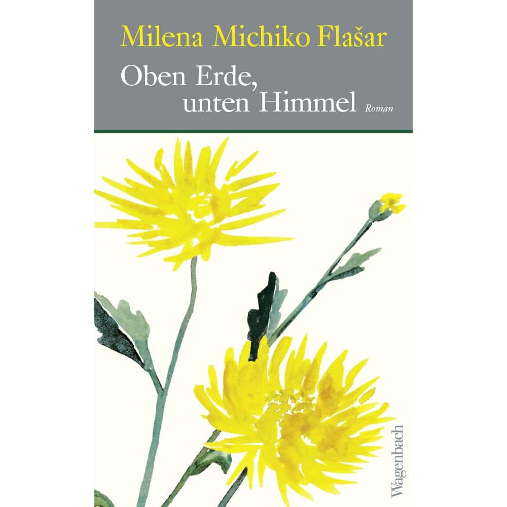 Couverture de Oben Erde, unten Himmel Roman