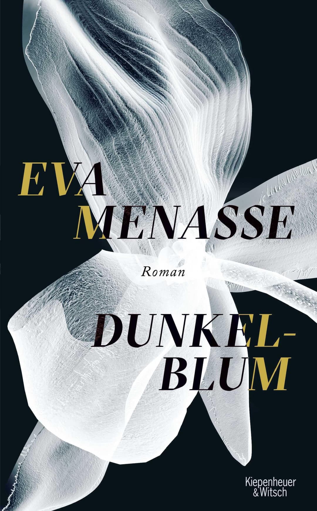 Couverture de Dunkelblum Roman