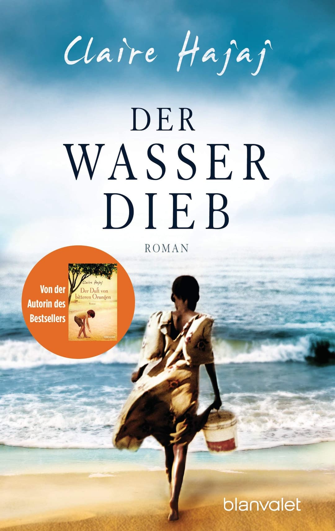 Couverture de Der Wasserdieb Roman