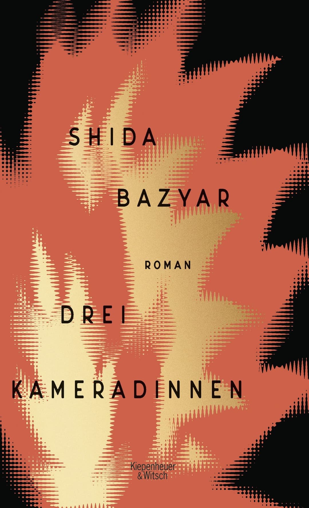 Couverture de Drei Kameradinnen Roman