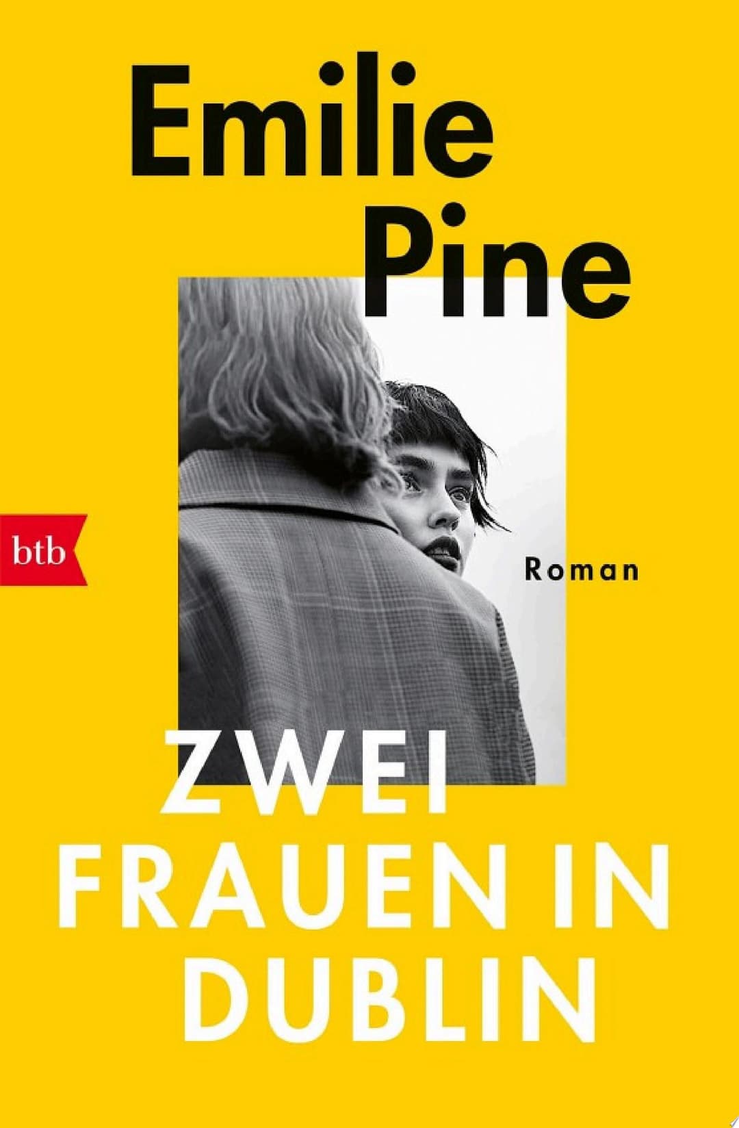 Couverture de Zwei Frauen in Dublin Roman