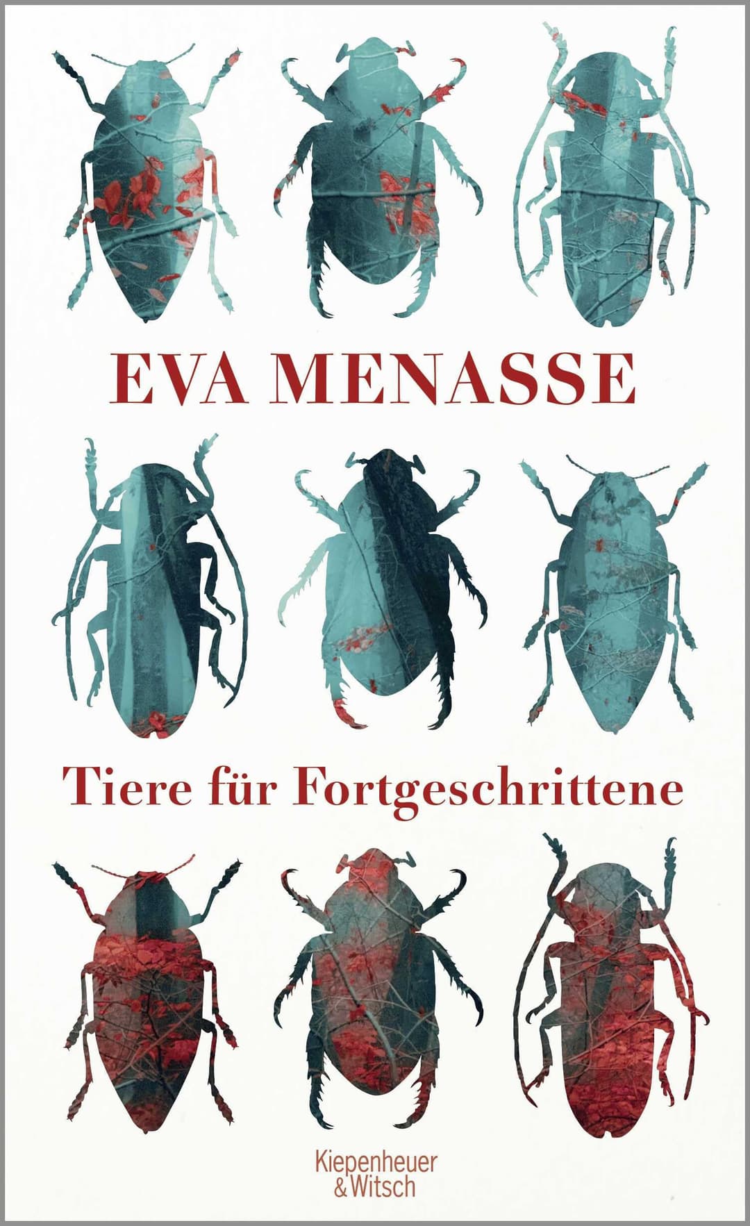 Couverture de Tiere für Fortgeschrittene