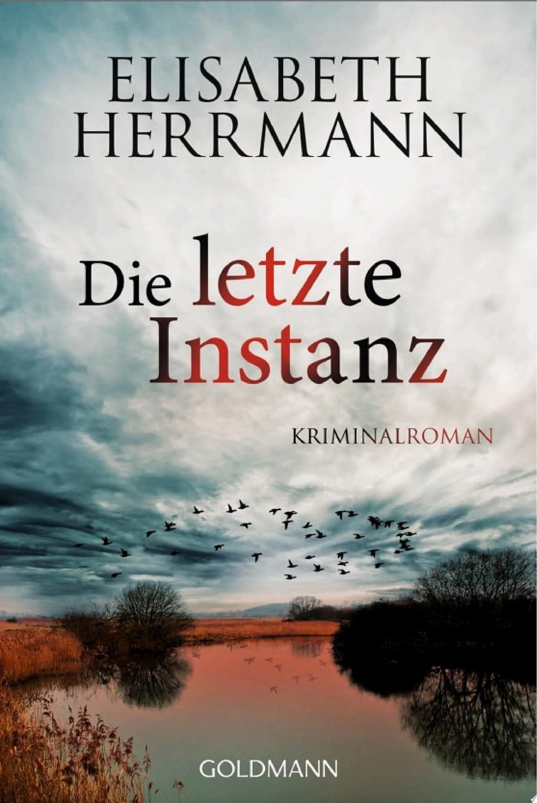 Couverture de Die letzte Instanz Kriminalroman