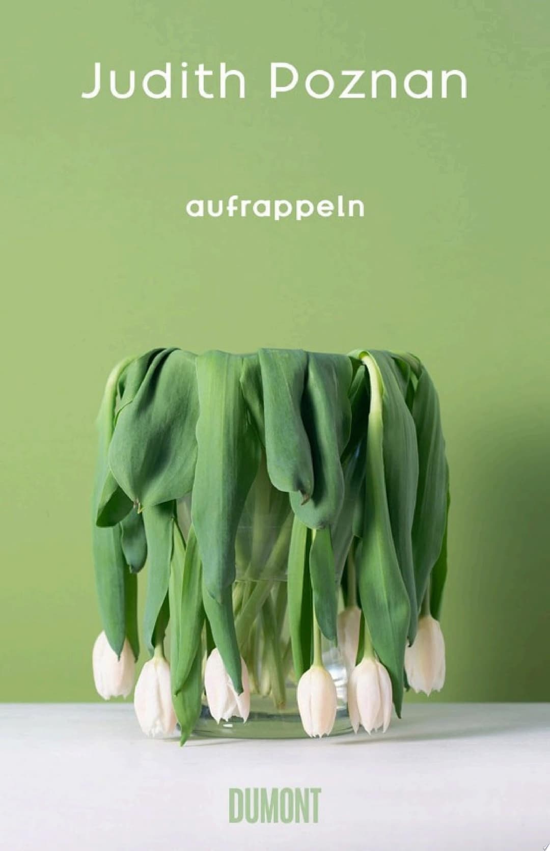 Couverture de Aufrappeln