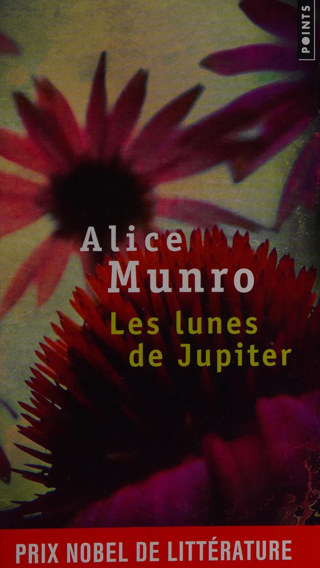 Couverture de Les lunes de Jupiter nouvelles
