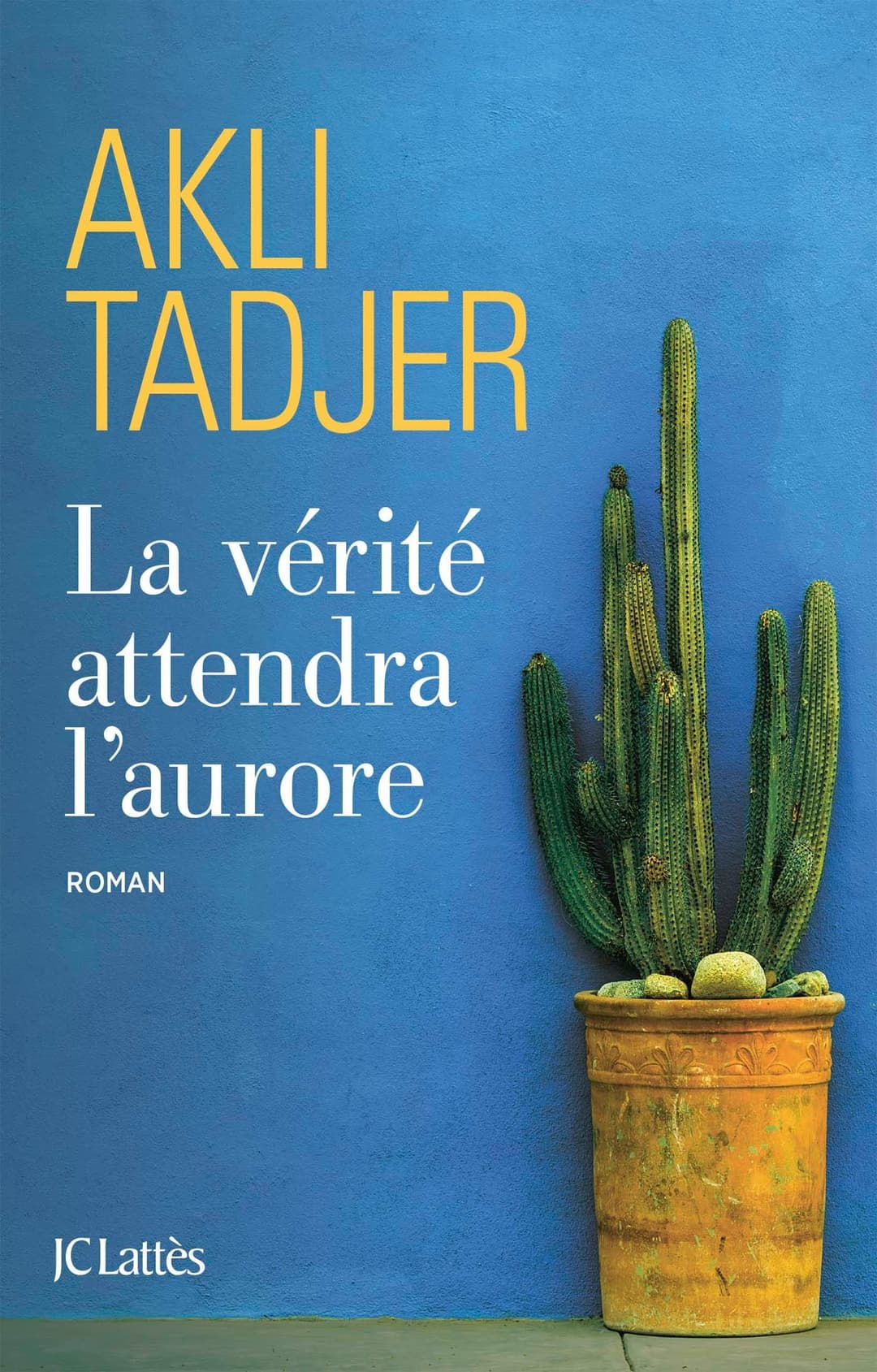 Couverture de La vérité attendra l'aurore roman