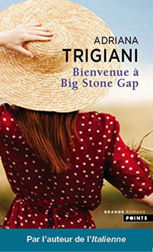 Couverture de Bienvenue à Big Stone Gap