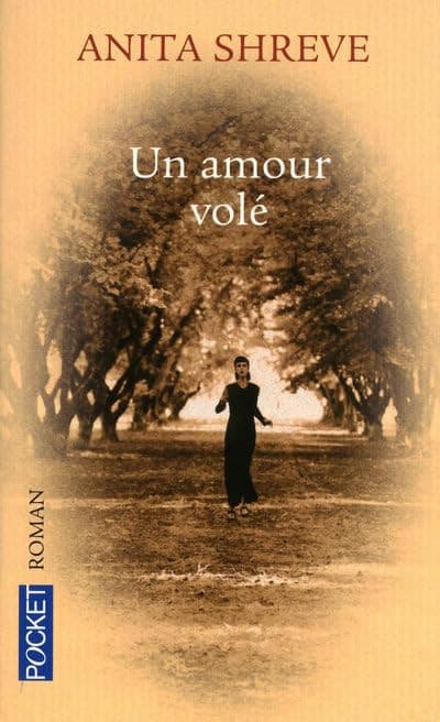 Couverture de Un amour volé