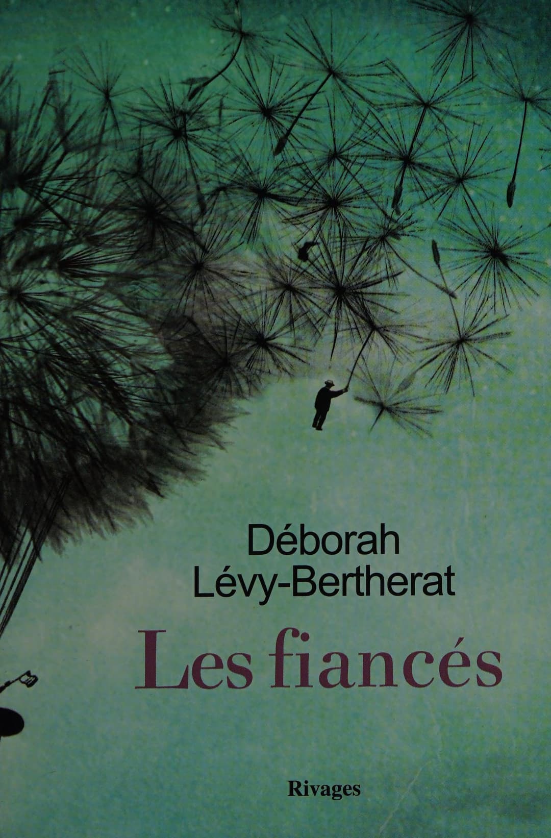 Couverture de Les fiancés roman