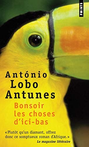 Couverture de Bonsoir les choses d'ici-bas roman