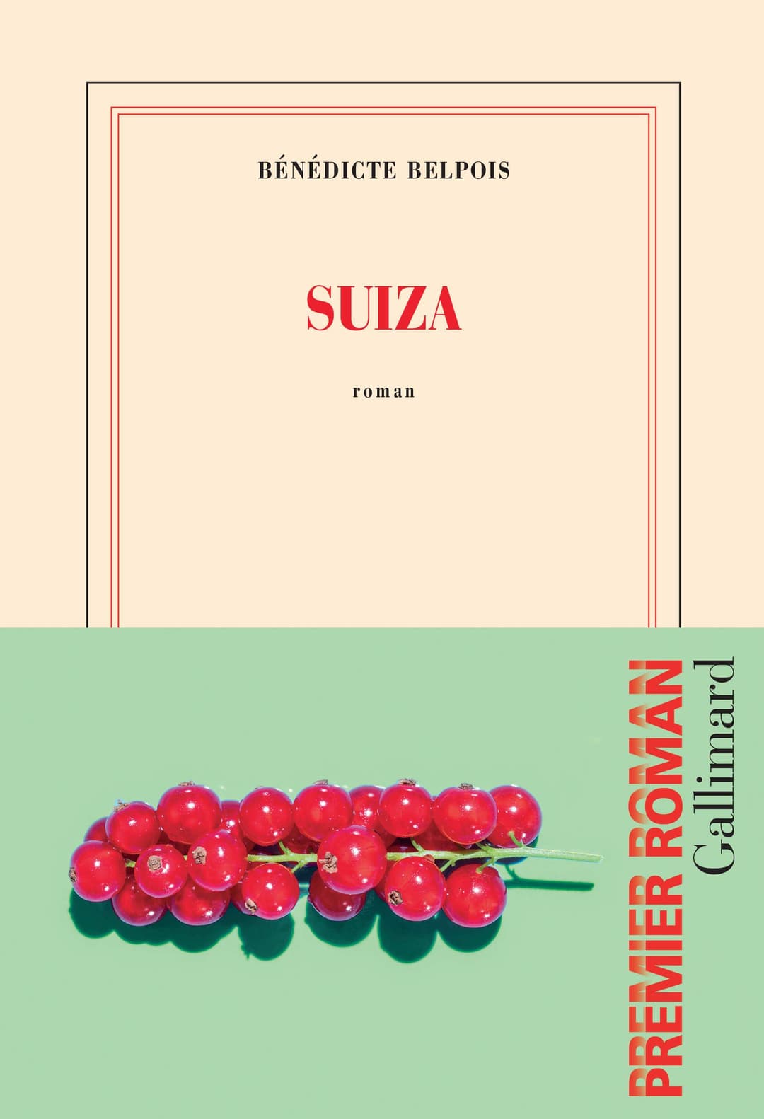 Couverture de Suiza roman