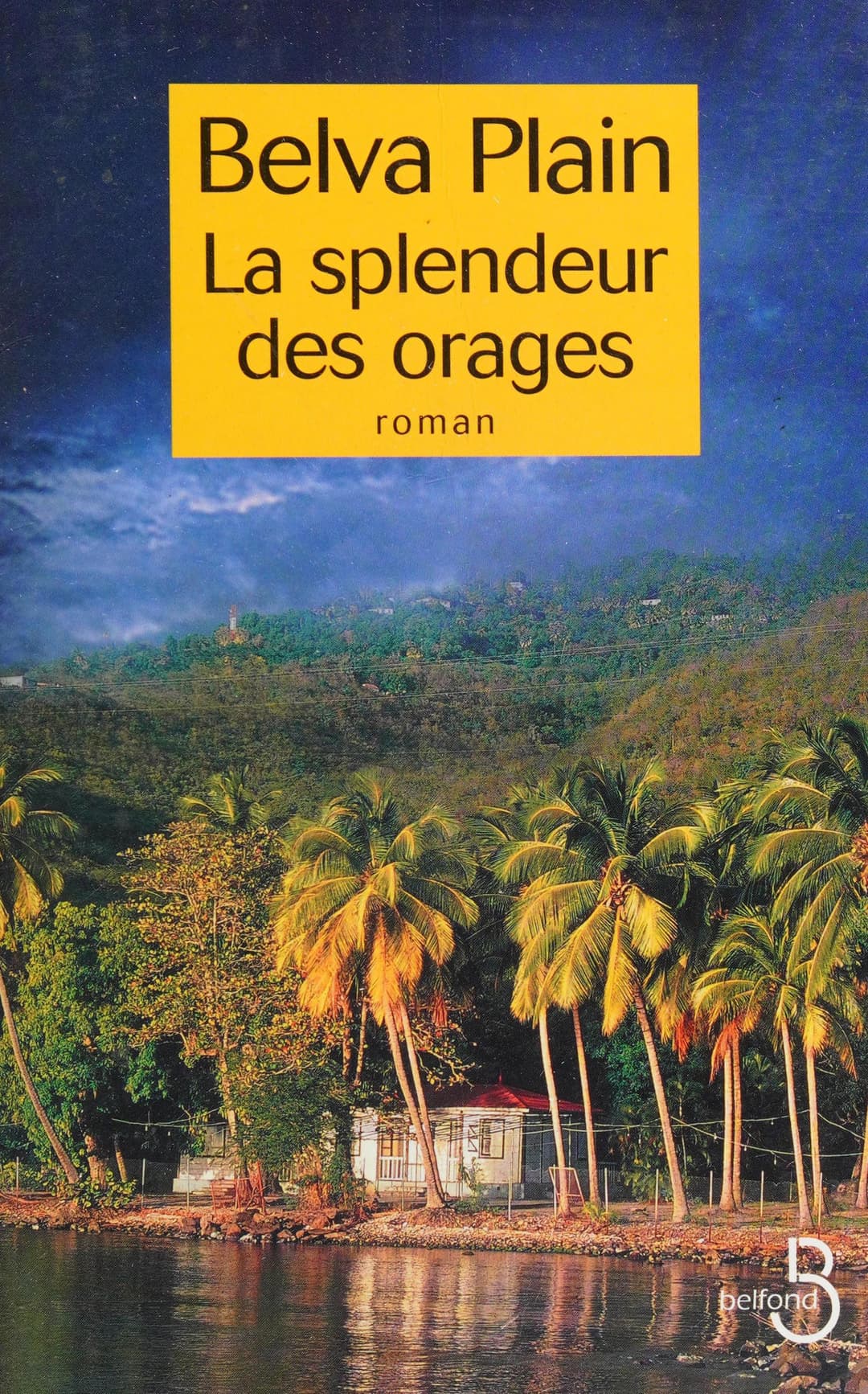 Couverture de La splendeur des orages