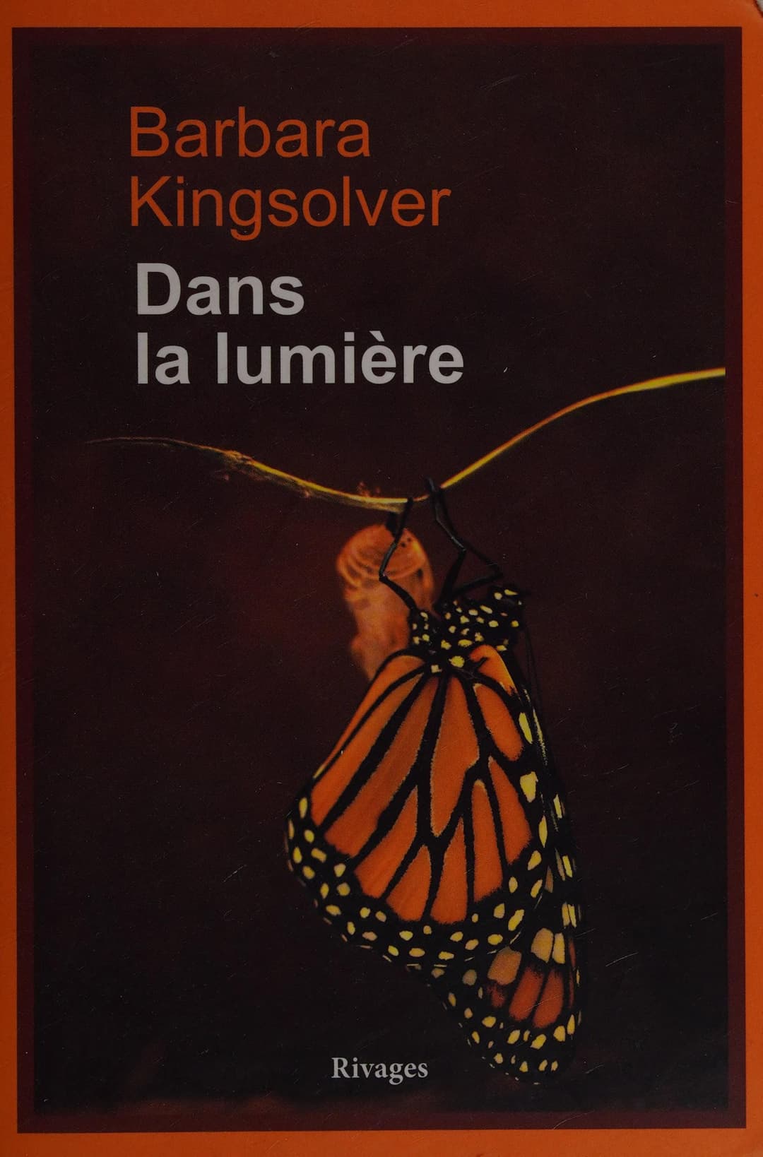 Couverture de Dans la lumière