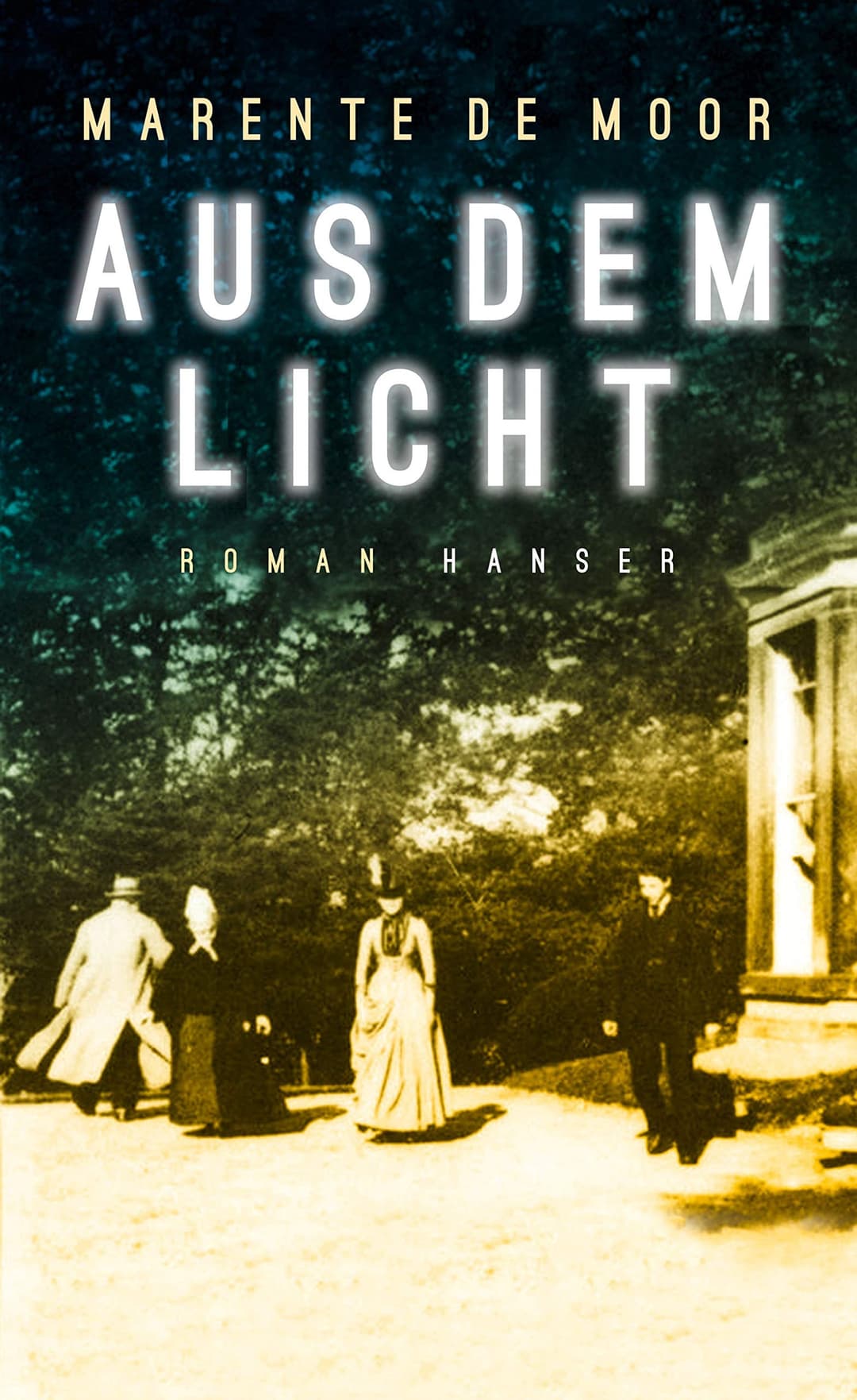 Couverture de Aus dem Licht Roman