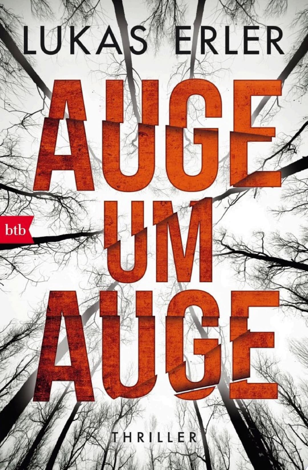 Couverture de Auge um Auge Thriller