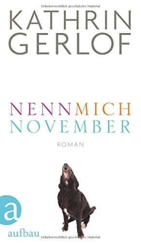 Couverture de Nenn mich November Roman