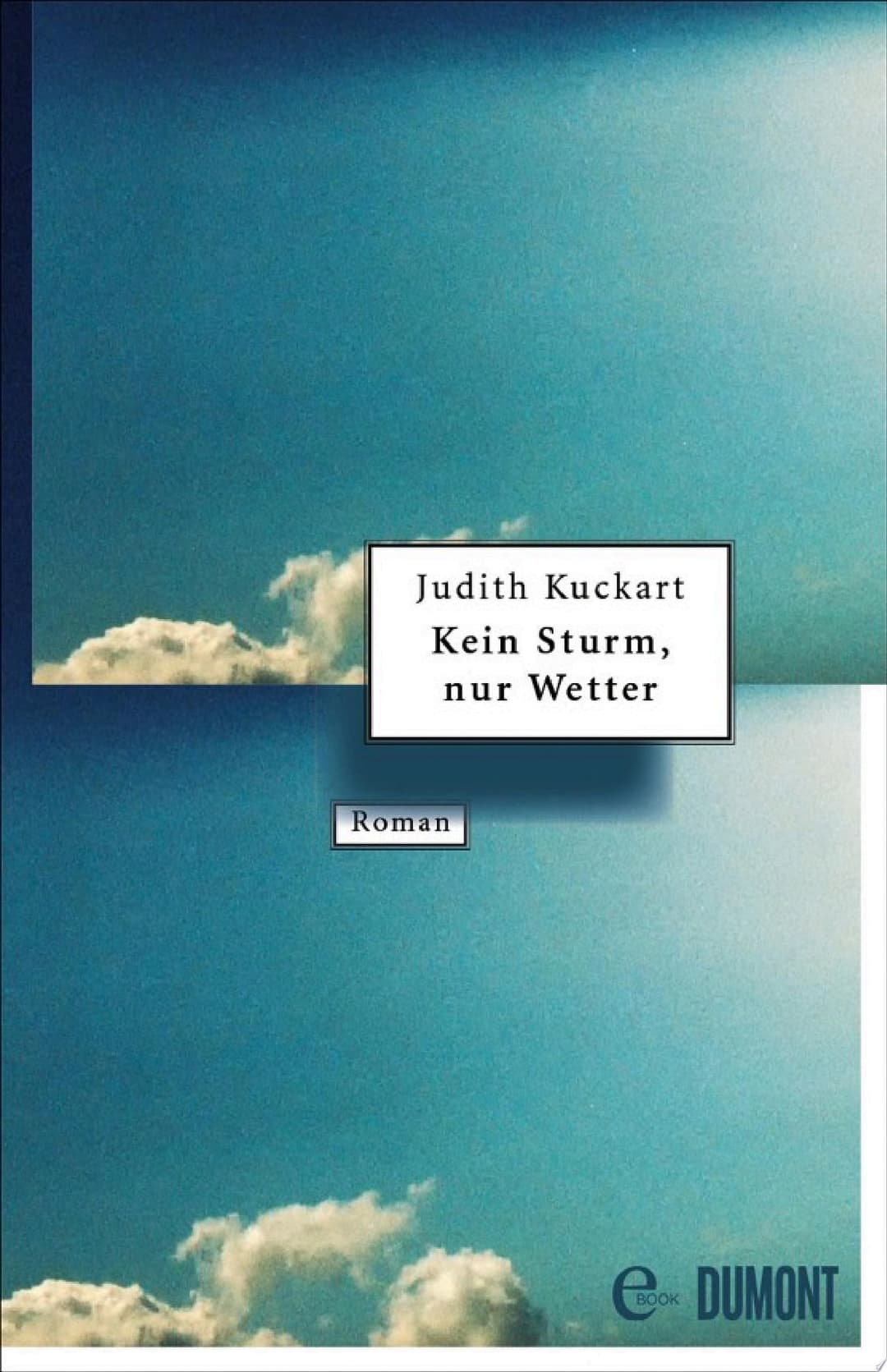 Couverture de Kein Sturm, nur Wetter Roman