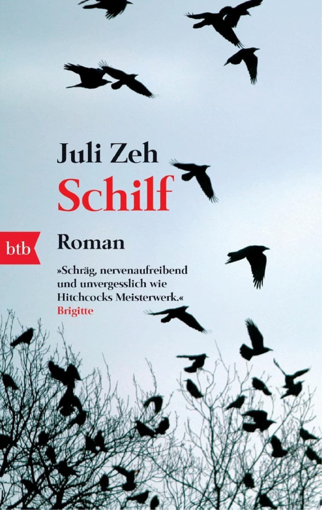 Couverture de Schilf Roman