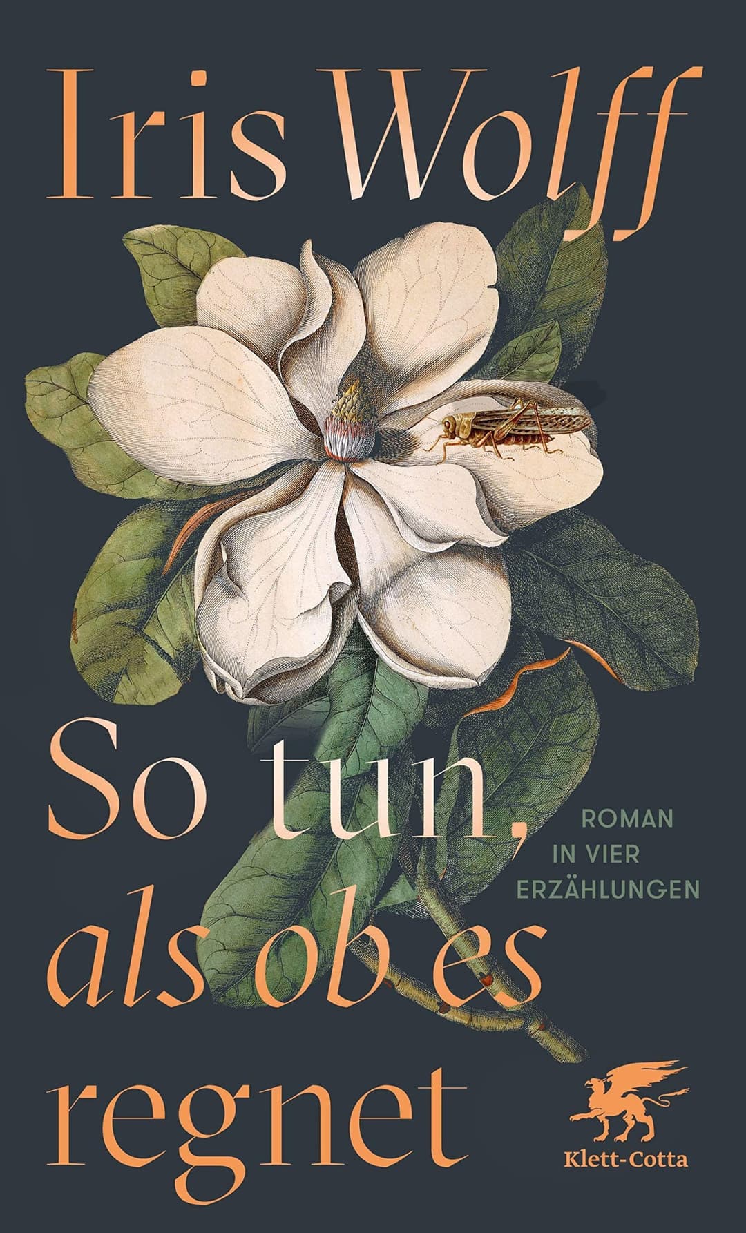 Couverture de So tun, als ob es regnet Roman in vier Erzählungen