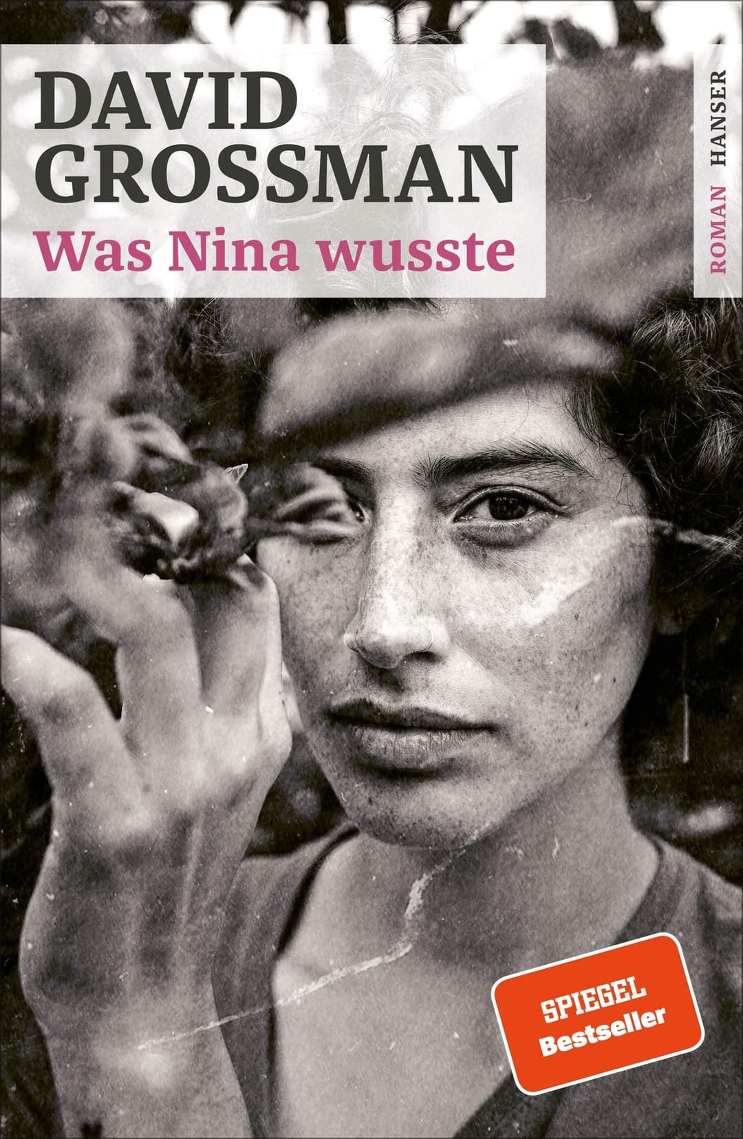 Couverture de Was Nina wusste Roman