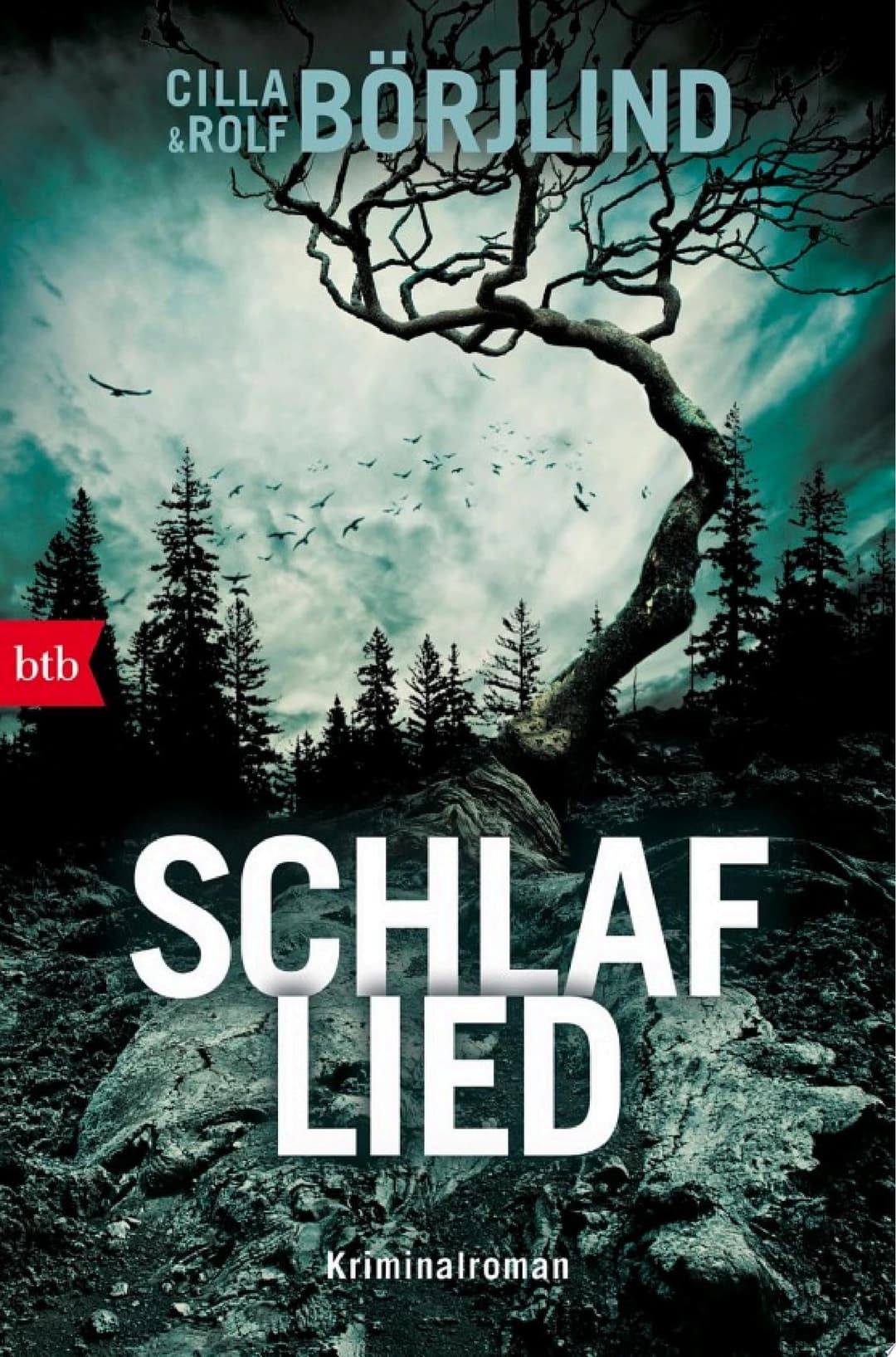 Couverture de Schlaflied Kriminalroman