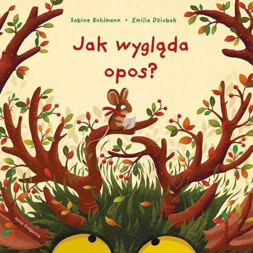 Couverture de Jak wygląda opos?