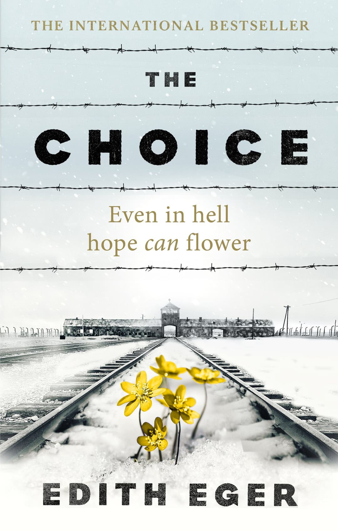 Couverture de The Choice