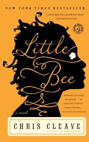 Couverture de Little Bee A Novel