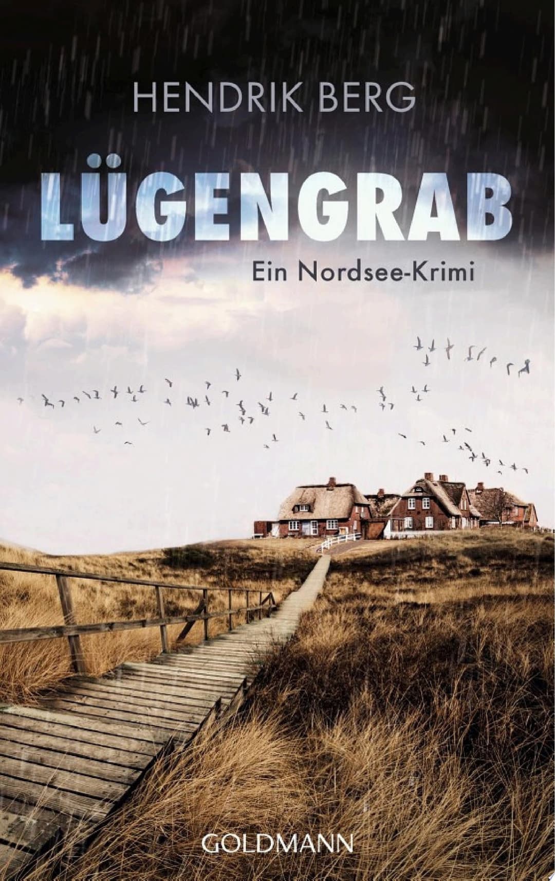 Couverture de Lügengrab Ein Nordsee-Krimi