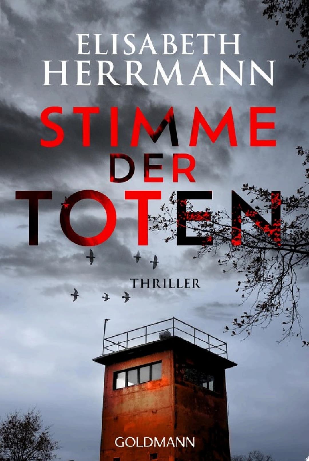 Couverture de Stimme der Toten Thriller