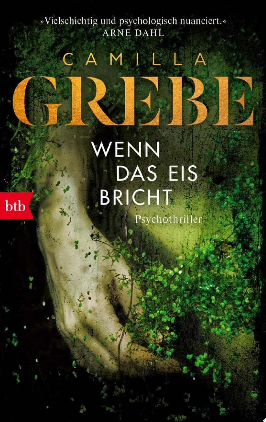 Couverture de Wenn das Eis bricht Psychothriller