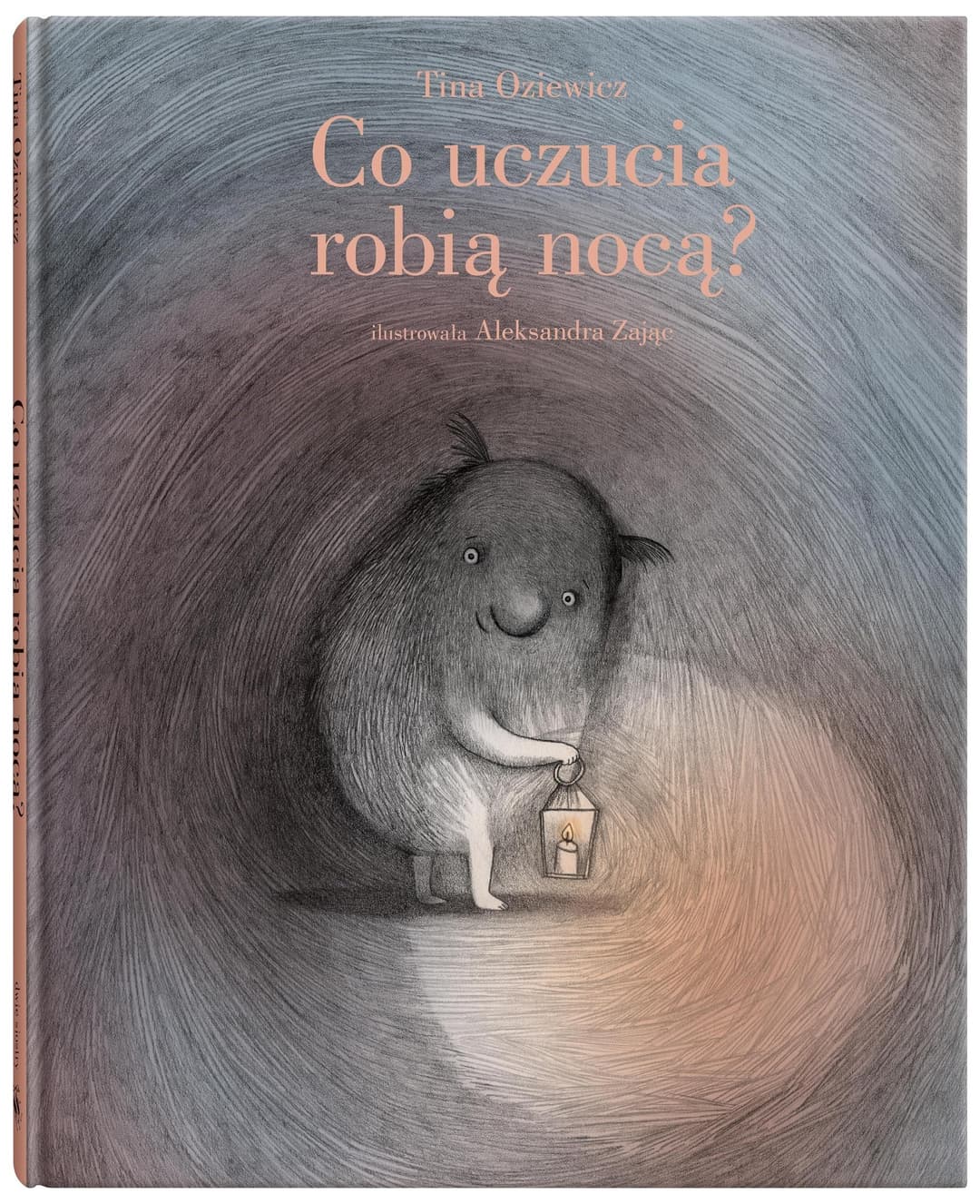 Couverture de Co uczucia robią nocą?