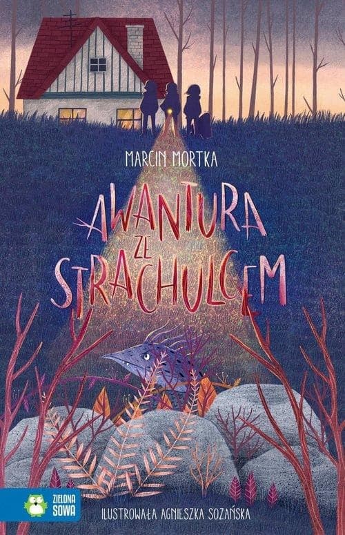 Couverture de Awantura ze Strachulcem