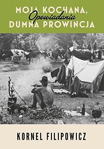 Couverture de Moja kochana, dumna prowincja opowiadania