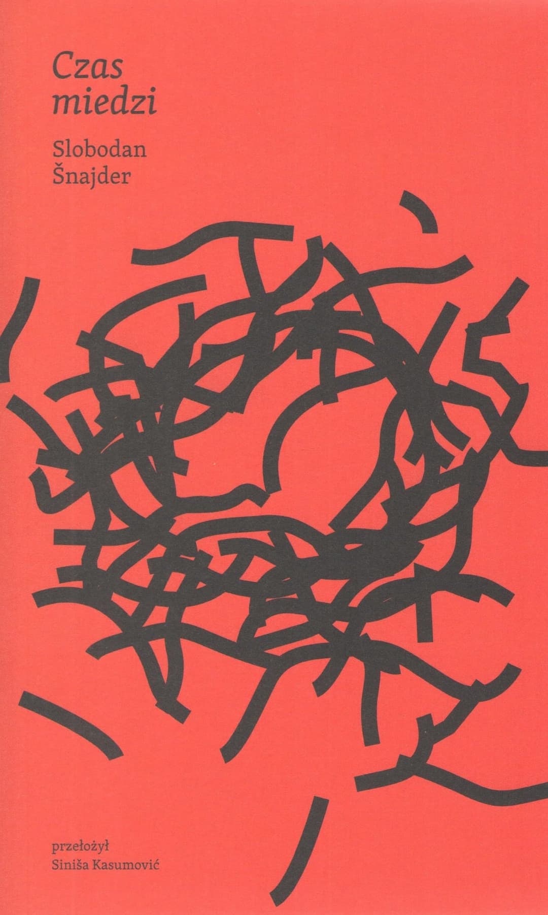Couverture de Czas miedzi