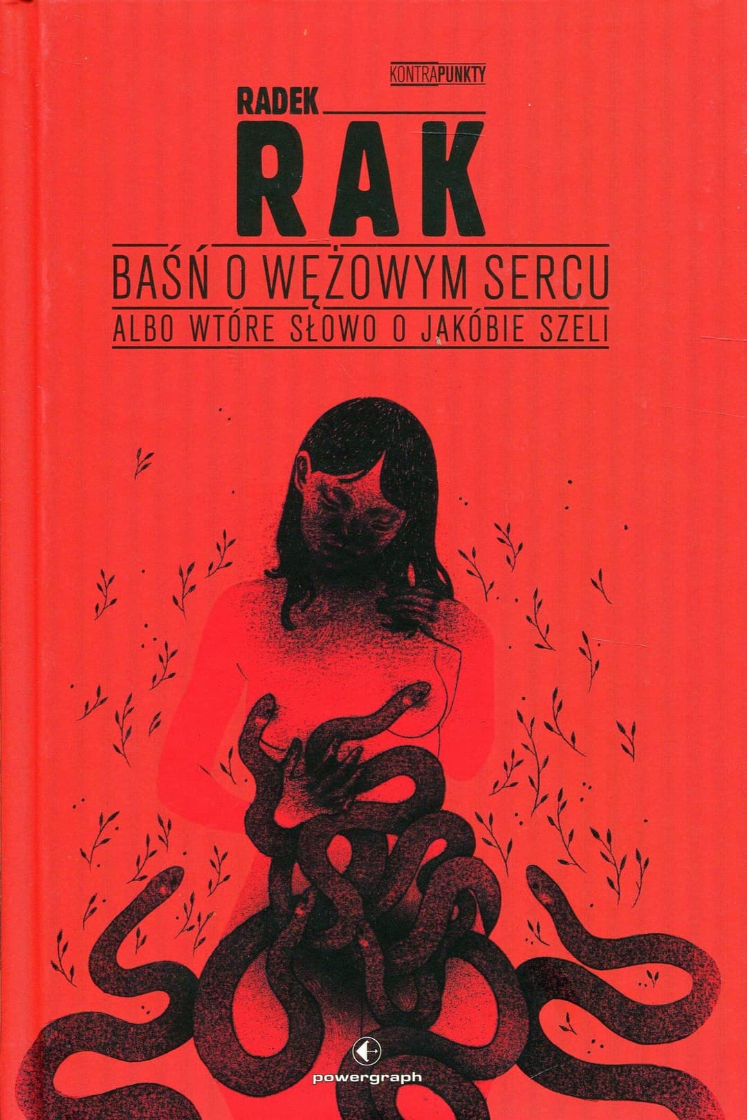 Couverture de Baśń o wężowym sercu albo Wtóre słowo o Jakóbie Szeli