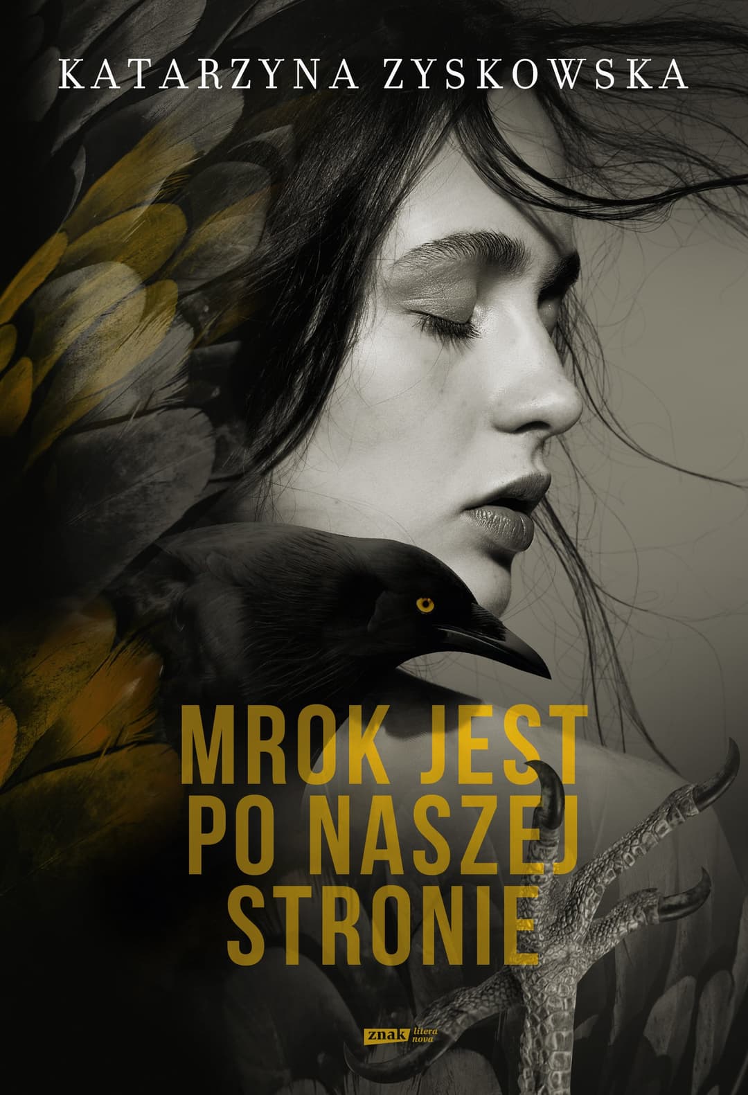 Couverture de Mrok jest po naszej stronie