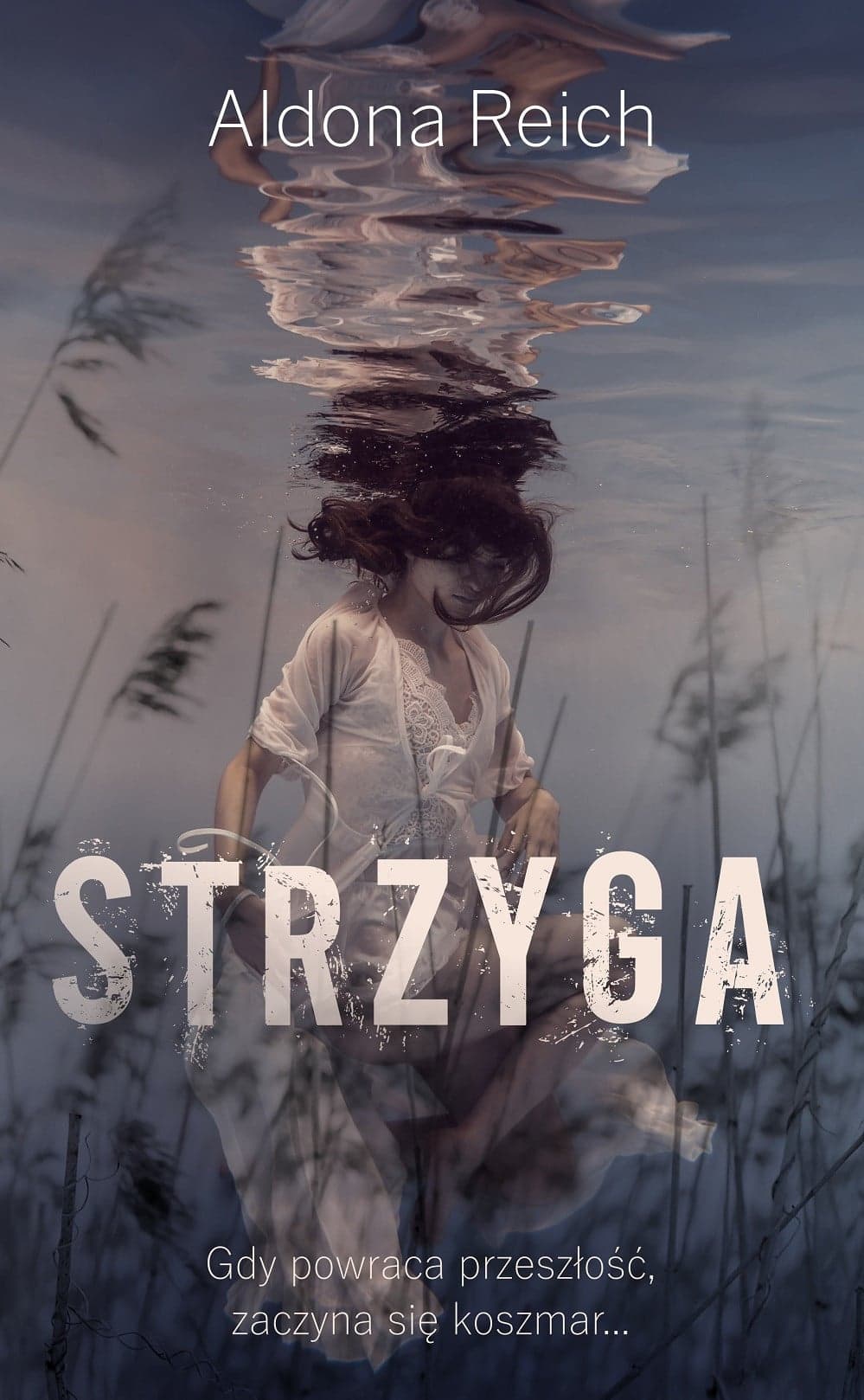 Couverture de Strzyga