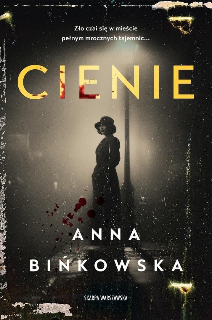Couverture de Cienie
