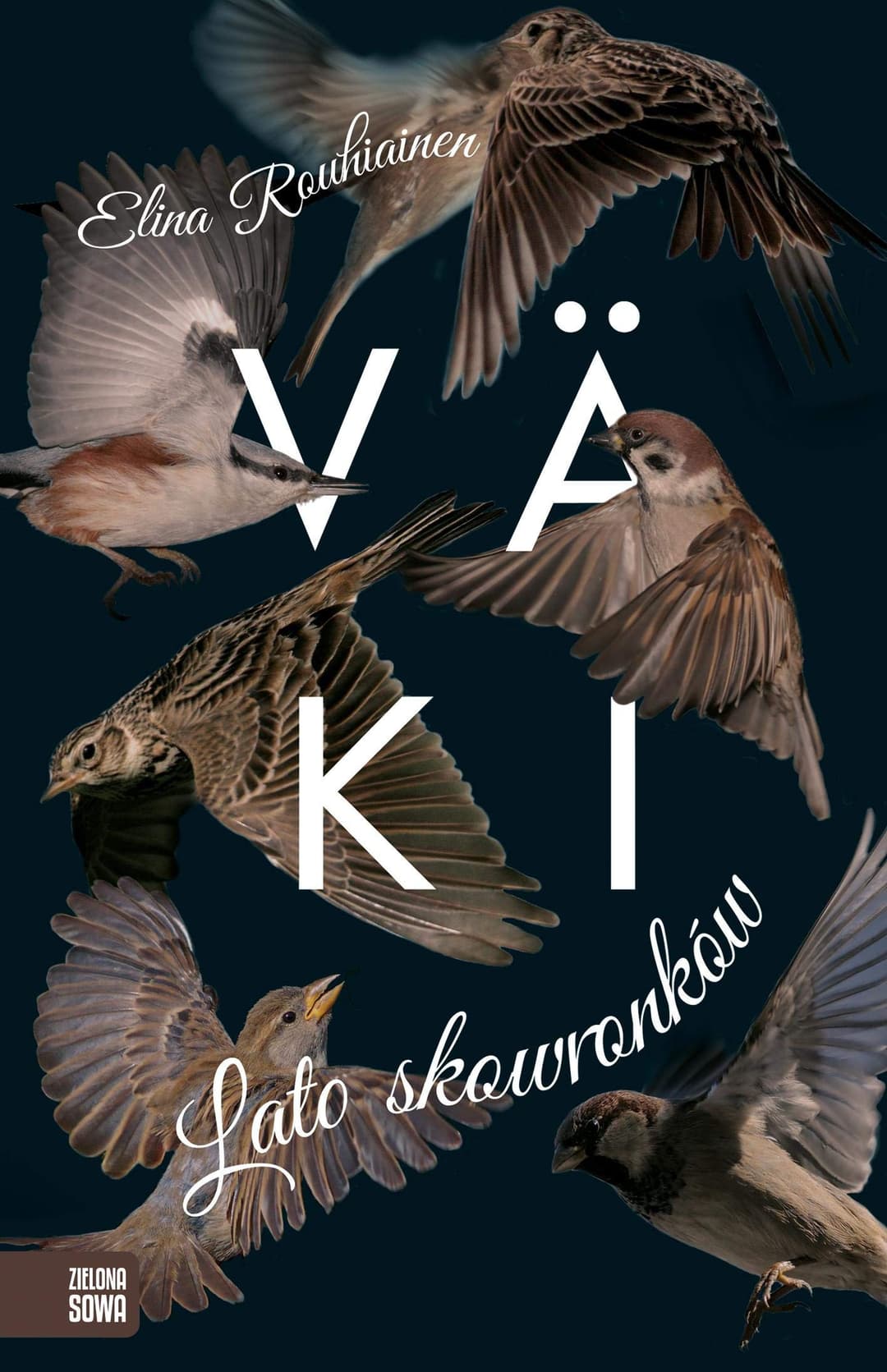 Couverture de Lato skowronków