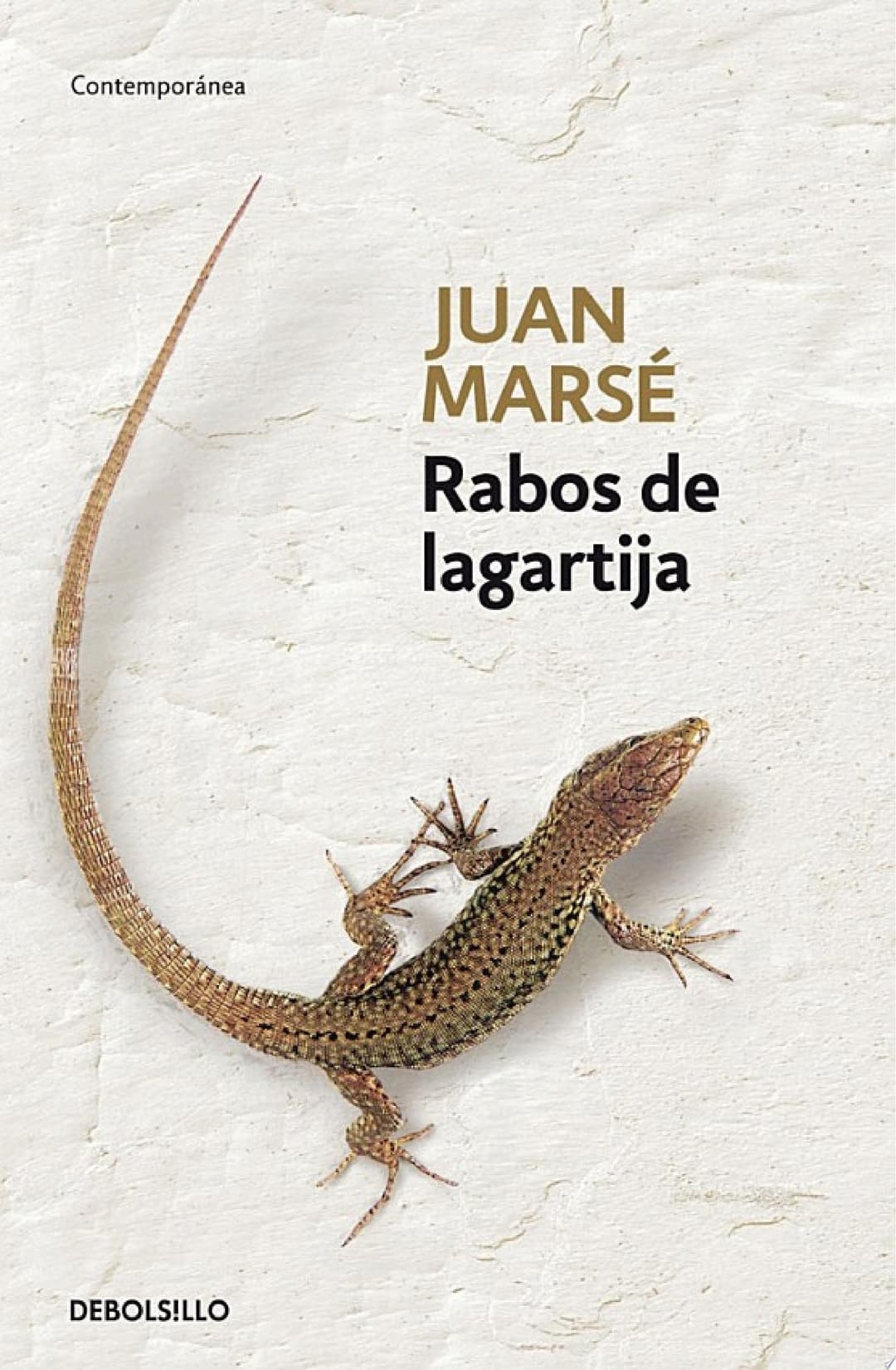 Couverture de Rabos de lagartija