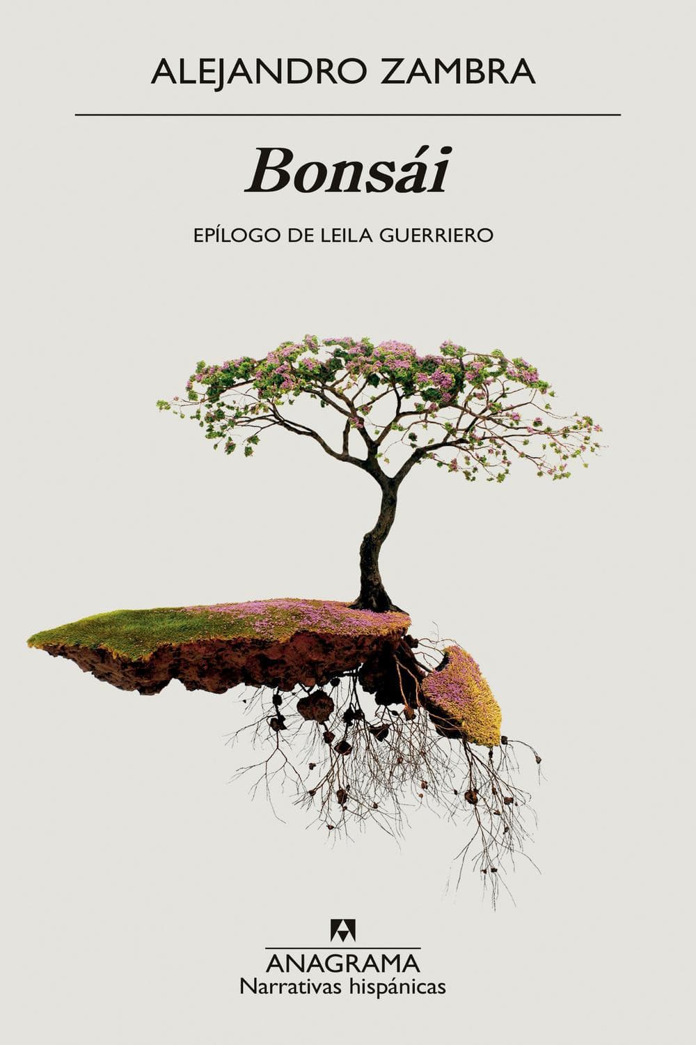 Couverture de Bonsái