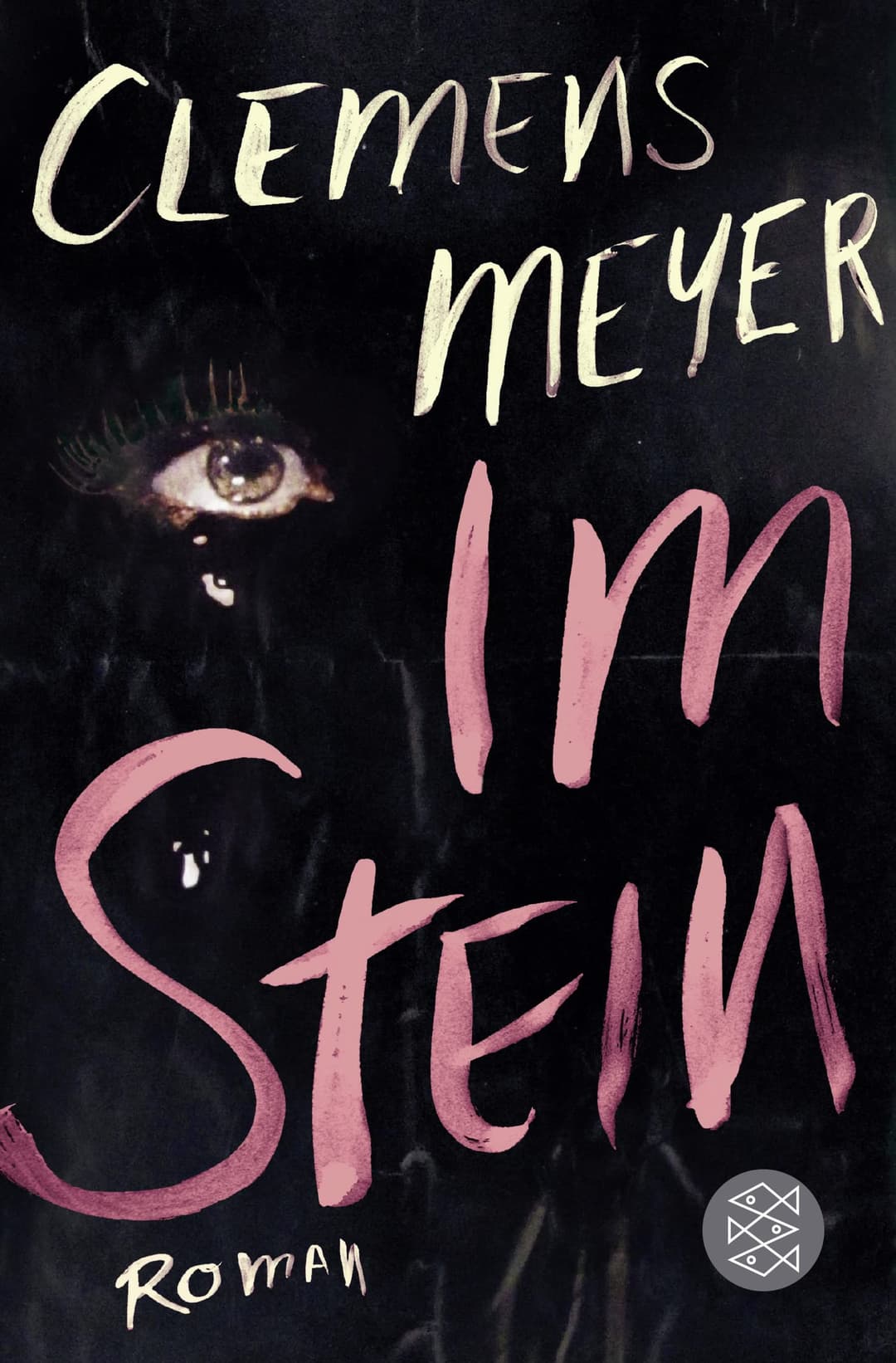 Couverture de Im Stein
