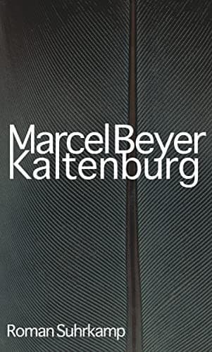Couverture de Kaltenburg: Roman