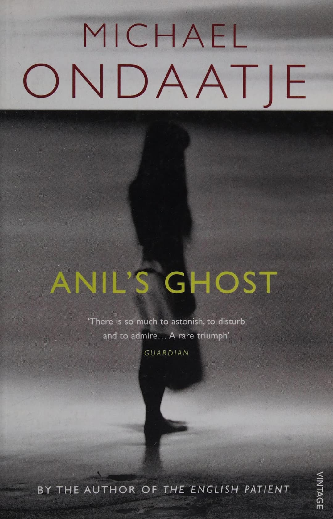 Couverture de Anil's Ghost
